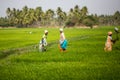 THANGAUR, INDIA-FEBRUARY 13: Indian worker on February 13, 2013