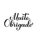 Thank very much you calligraphy hand lettering in Portuguese language isolated on white background. Vector template for