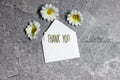 Thank You card in an envelope with daisy flowers on marble background