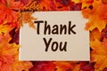 Thank You card with fall leaves Royalty Free Stock Photo