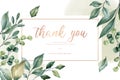 thank you card with green leaves vector illustration Royalty Free Stock Photo