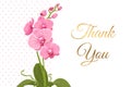 Thank you card pink orchid phalaenopsis flower Royalty Free Stock Photo