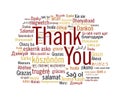 Thank you collage in 50+ languages Royalty Free Stock Photo