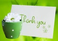 Thank you daisy Royalty Free Stock Photo