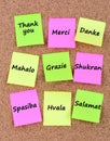 Thank you in different languages Royalty Free Stock Photo