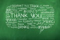 Thank You in different languages Royalty Free Stock Photo