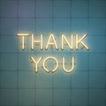 Thank you glowing neon shiny text, vector illustration