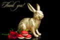 Thank you, gold rabbit bunny on black background, red roses, macaroon Royalty Free Stock Photo