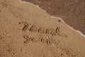 Thank you, gratitude concept, beautiful card, word written on sand beach