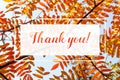 Thank you colorful greeting autumn foliage