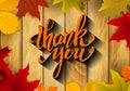 Thank You. Hand drawn lettering with yellow autumn leaves Royalty Free Stock Photo