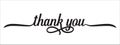 thank you hand lettering design. thank you calligraphy. thank you text typography letter vector graphic design for greeting card