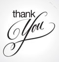 THANK YOU hand lettering (vector)