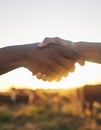 Thank you, handshake and people with b2b farm deal for agriculture, partnership or small business support. Welcome Royalty Free Stock Photo
