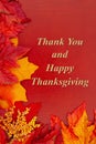 Thank You and Happy Thanksgiving message with fall leaves Royalty Free Stock Photo