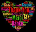 Thank You illustration in different languages Royalty Free Stock Photo