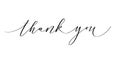 Thank you ink pen modern classy calligraphy design Royalty Free Stock Photo