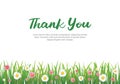 Thank you lettering greeting card. Thank you calligraphy handwritten card template background Royalty Free Stock Photo