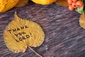 Thank You, LORD, handwritten quote on autumn leaf on wooden background with pumpkin and dry leaves