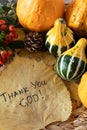 Thank you, LORD, handwritten text on golden leaf and autumn still life, Christian thanksgiving concept