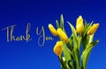 Thank You Message. Blooming yellow tulips on a blue sky background. Spring flower background with yellow tulips, mockup template. Royalty Free Stock Photo