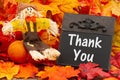 Thank You message on chalkboard with fall leaves