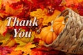 Thank you message with a cornucopia and pumpkins Royalty Free Stock Photo