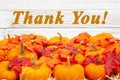 Thank you message with orange pumpkins with fall leaves Royalty Free Stock Photo