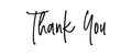 Thank you. Modern brush Hand drawn vintage Vector text Thank you on white background. Calligraphy lettering illustration