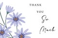 Minimalist Thank You So Much Greeting Design Royalty Free Stock Photo
