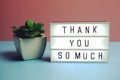 Thank You So Much word in light box on blue and pink background