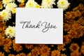 Thank You Note Royalty Free Stock Photo