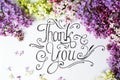 Thank you note with purple lilac flowers Royalty Free Stock Photo