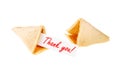 Thank you! - single fortune cookie Royalty Free Stock Photo