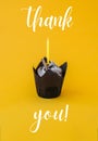 Thank you text greeting card. Chocolate cupcake with candle. Holiday