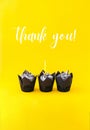 Thank you text greeting card. Chocolate cupcake with candle. Holiday