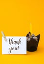 Thank you text greeting card. Chocolate cupcake with candle. Holiday