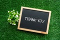 THANK YOU text in white chalk handwriting on a blackboard Royalty Free Stock Photo