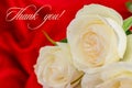 Thank you text, white rose on red background