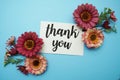 Thank You typography text with daisy flowers on blue background Royalty Free Stock Photo