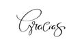 Thank you vector lettering text in spanish Gracias. Hand drawn phrase. Handwritten modern brush calligraphy for