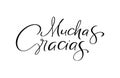Thank you vector lettering text in spanish Muchas Gracias. Hand drawn phrase. Handwritten modern brush calligraphy for