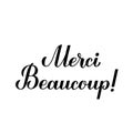 Thank you very much calligraphy hand lettering in French language isolated on white background. Vector template for Royalty Free Stock Photo