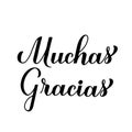 Thank you very much calligraphy hand lettering in Spanish language isolated on white background. Vector template for Royalty Free Stock Photo