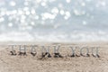 Thank you word drawn on the beach sand Royalty Free Stock Photo