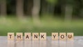 Thank you word Written With wood Blocks On table nature background Royalty Free Stock Photo