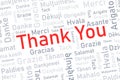 Thank you words design Royalty Free Stock Photo