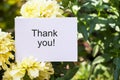 Thank You words written on white paper card, gratitude message with flowers in summer garden background