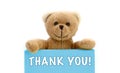 THANK YOU! written on blue card with brown teddy bear holding with the two hands the note with the message. Royalty Free Stock Photo