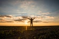 Thankful Businessman with Open Arms at the Field Royalty Free Stock Photo